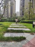 奔跑的小女孩