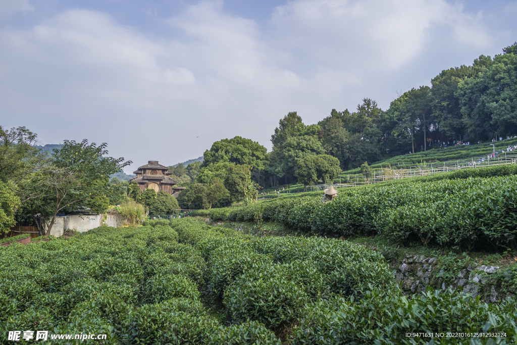 杭州龙井汤屋