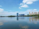 湿地湖边建筑CBD