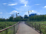 建筑塔吊