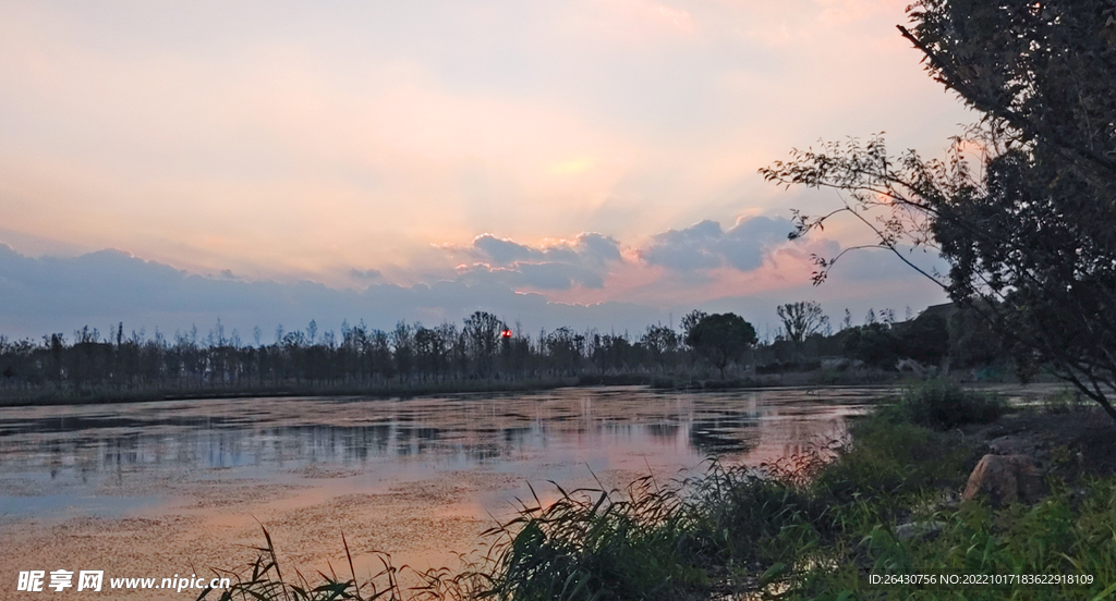 湖边湿地晚霞风光