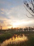 生态湿地美丽夕阳