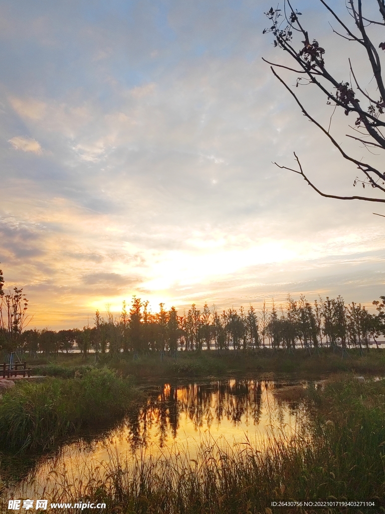 生态湿地美丽夕阳
