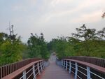 树林间旅游观光步道