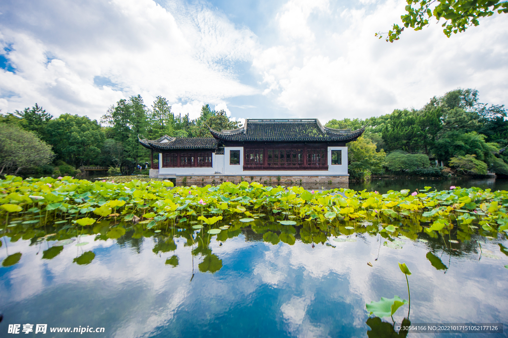 夏季公园湖面