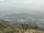 山