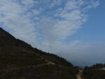 山