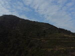 山