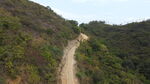 山