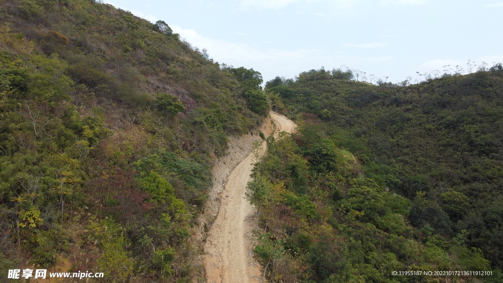 山