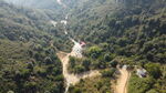 山