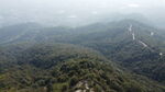山