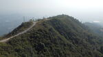 山