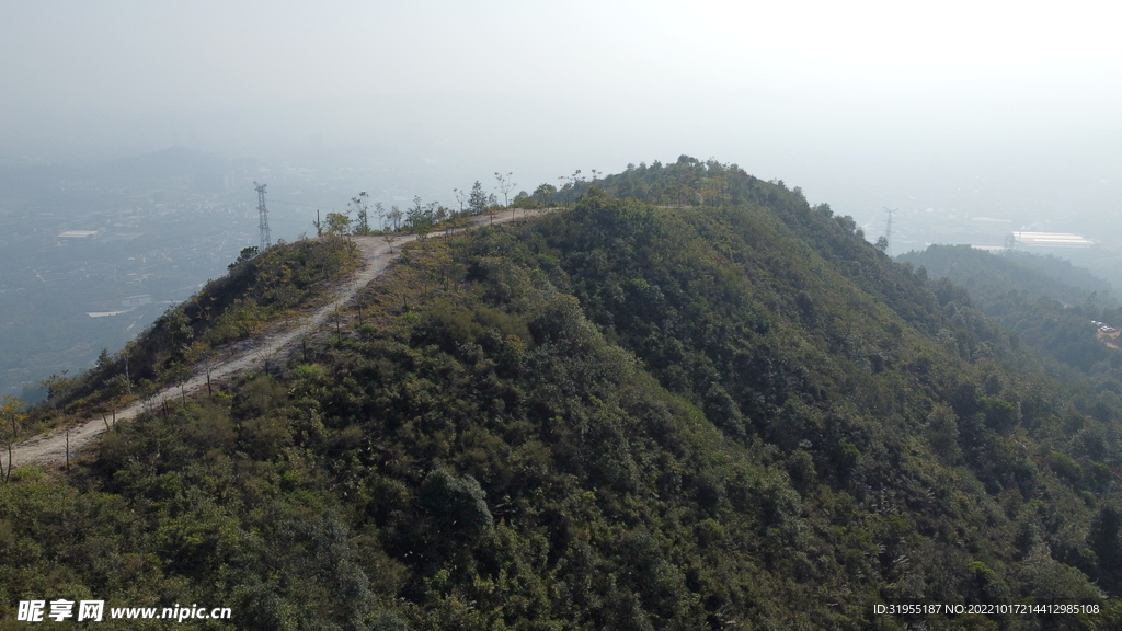 山