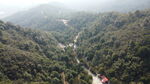 山