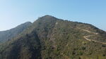 山