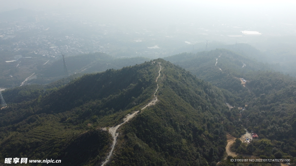 山