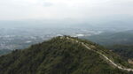 山