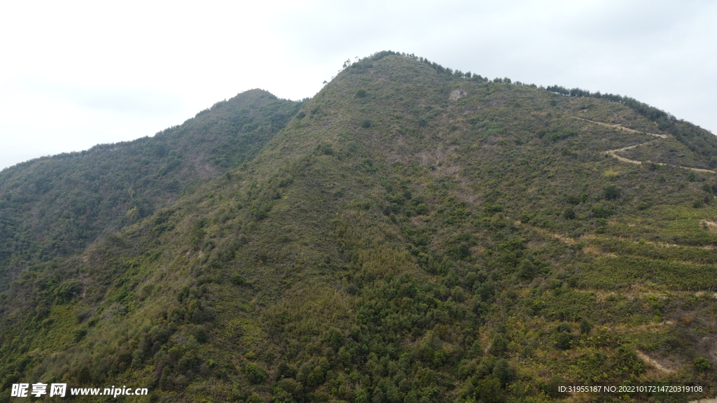 山
