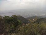 山