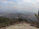 山