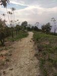 山路，小路