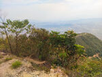 山