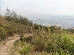 山