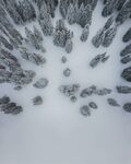 森林雪景