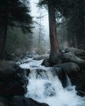 自然风管河水