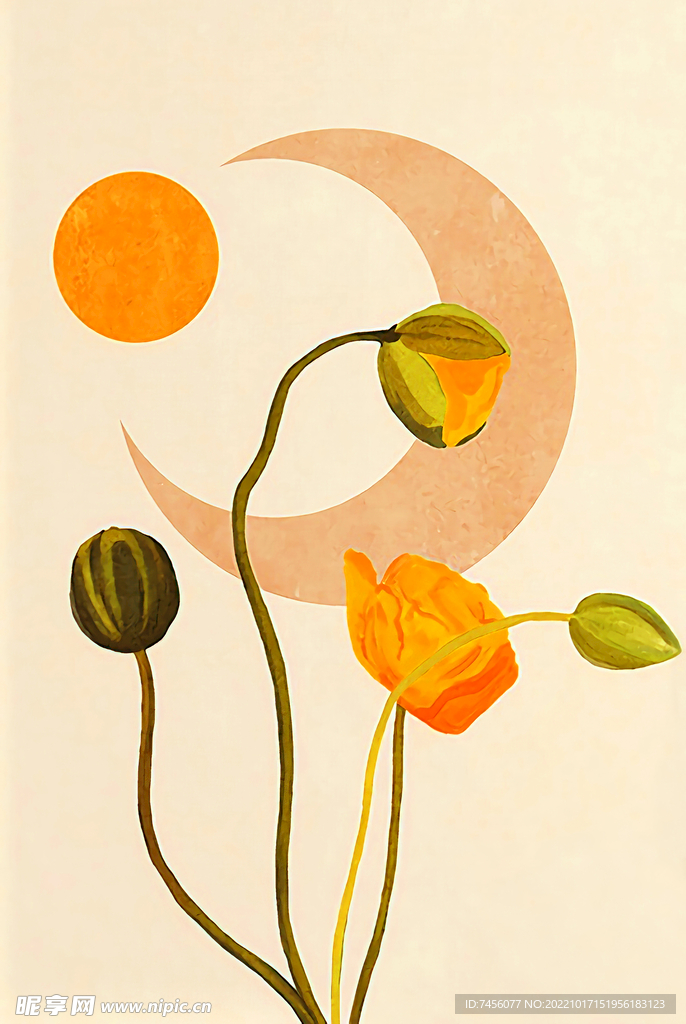 莲藕月亮太阳插画装饰画