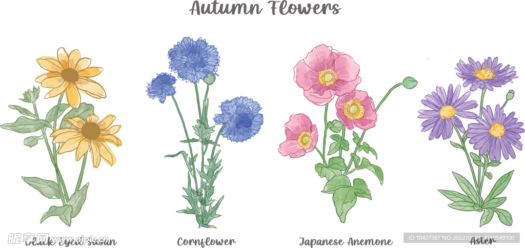 卡通花