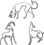 动物绘画