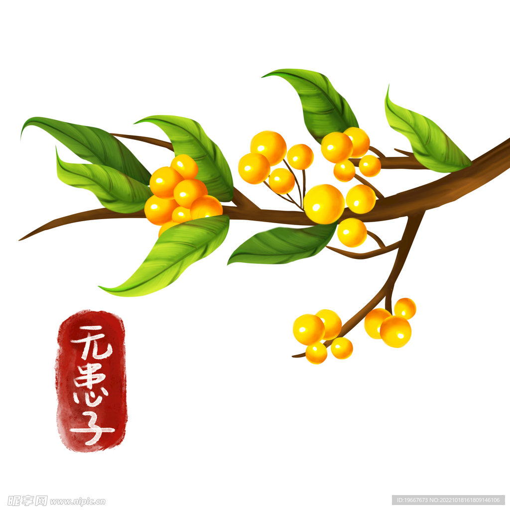植物