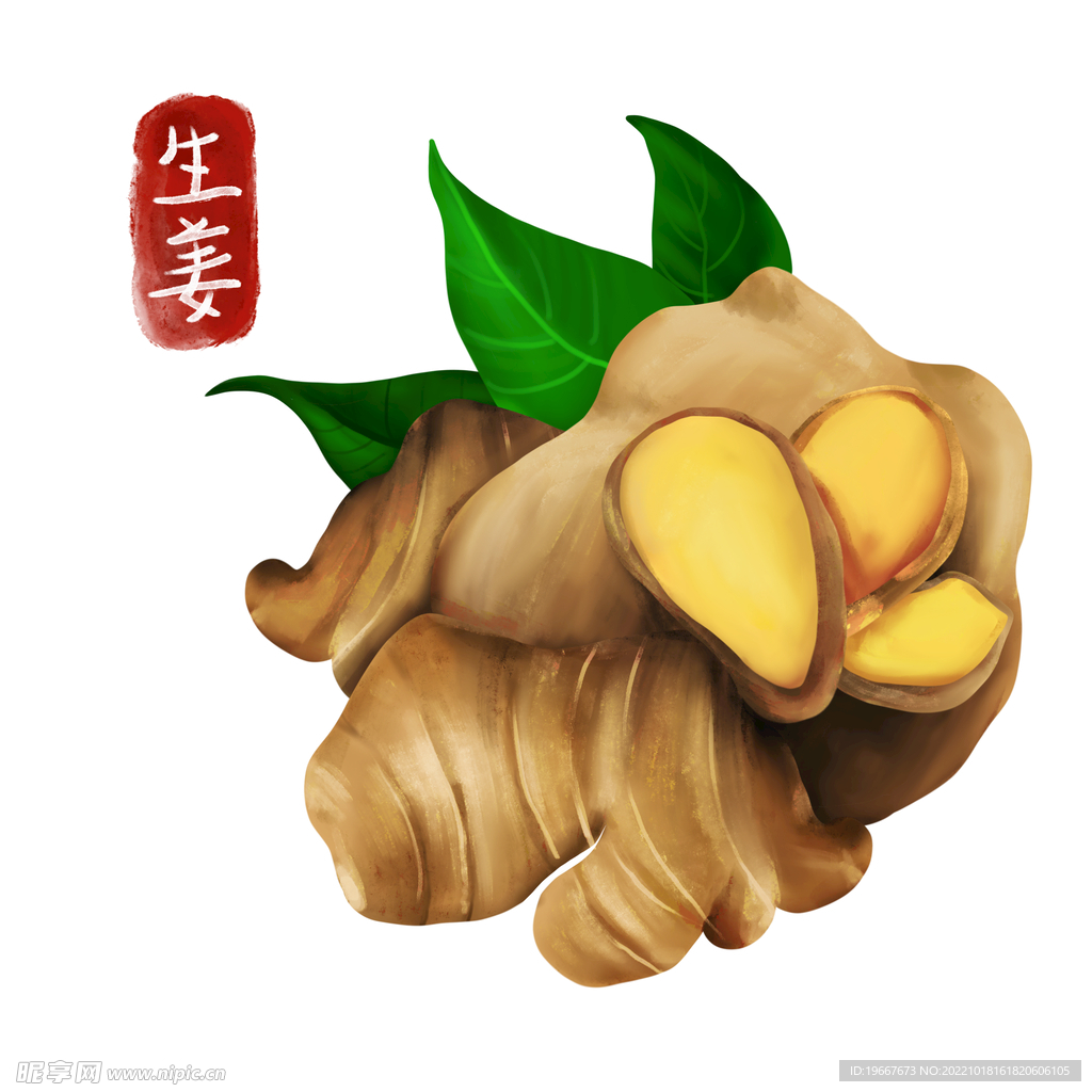 植物