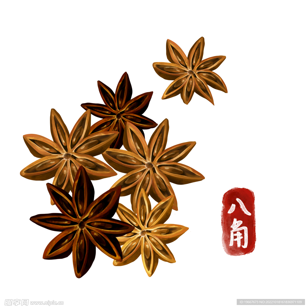 植物