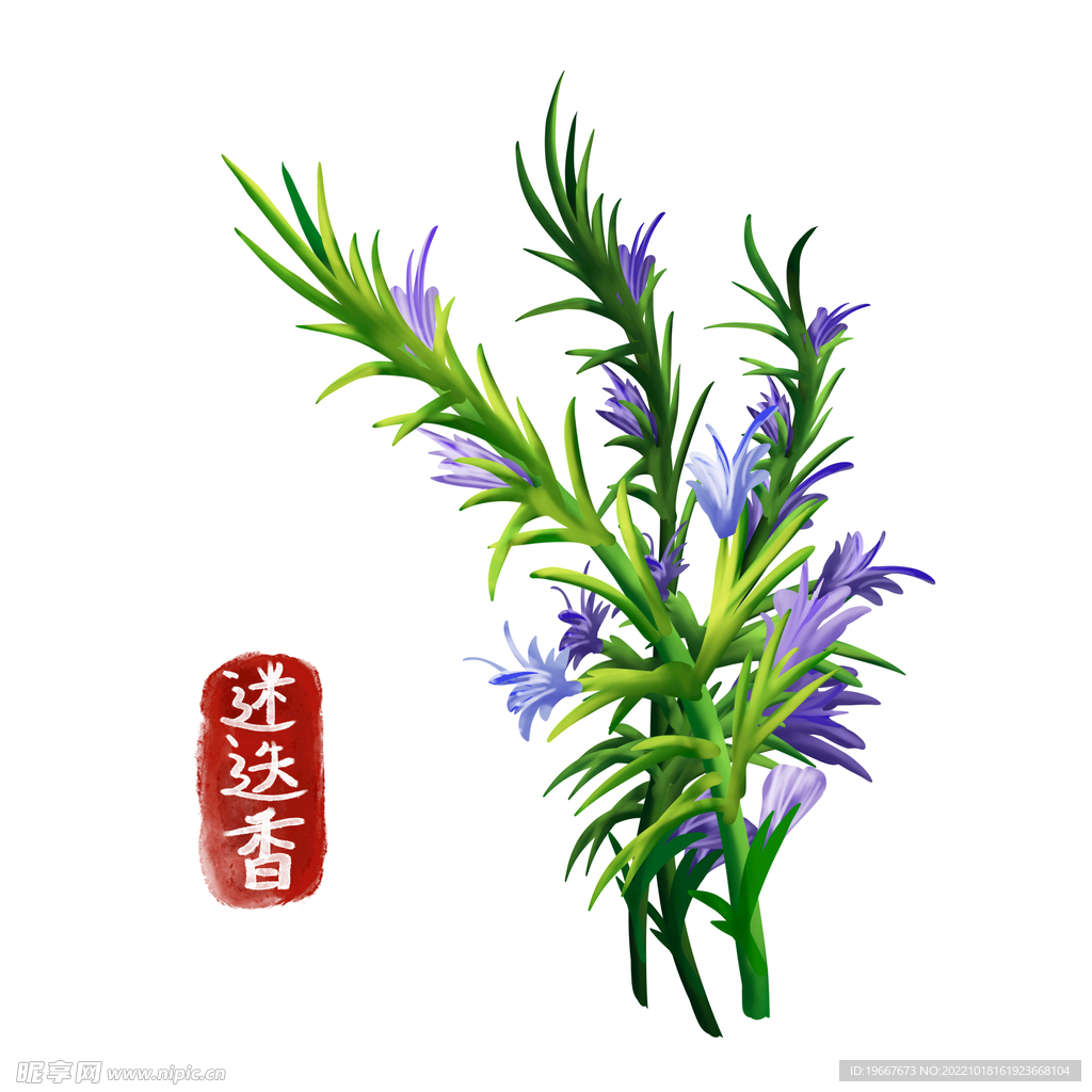 植物