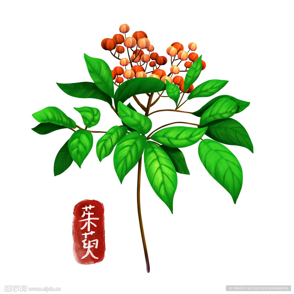 中药