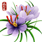 中药