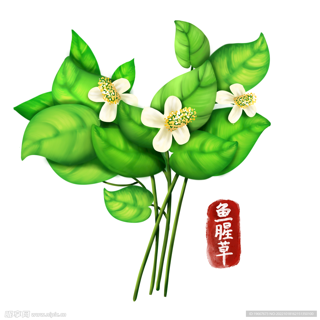 中药