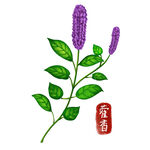 中药