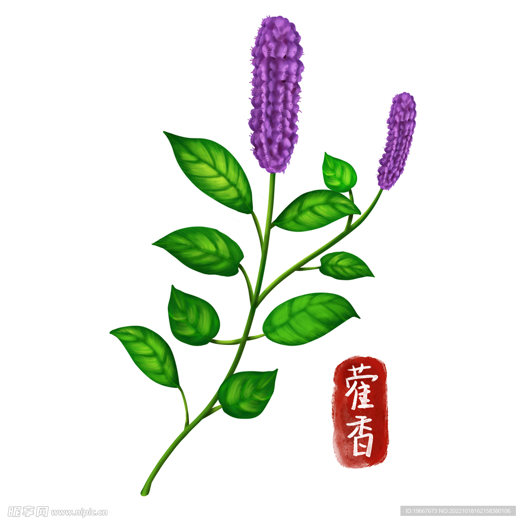 中药