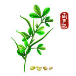 中药