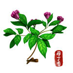 中药