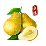 中药