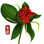 中药