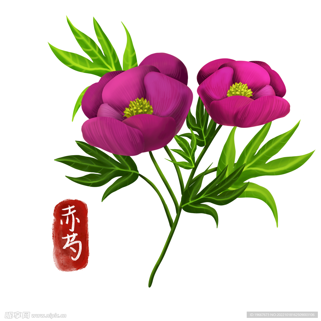 中药