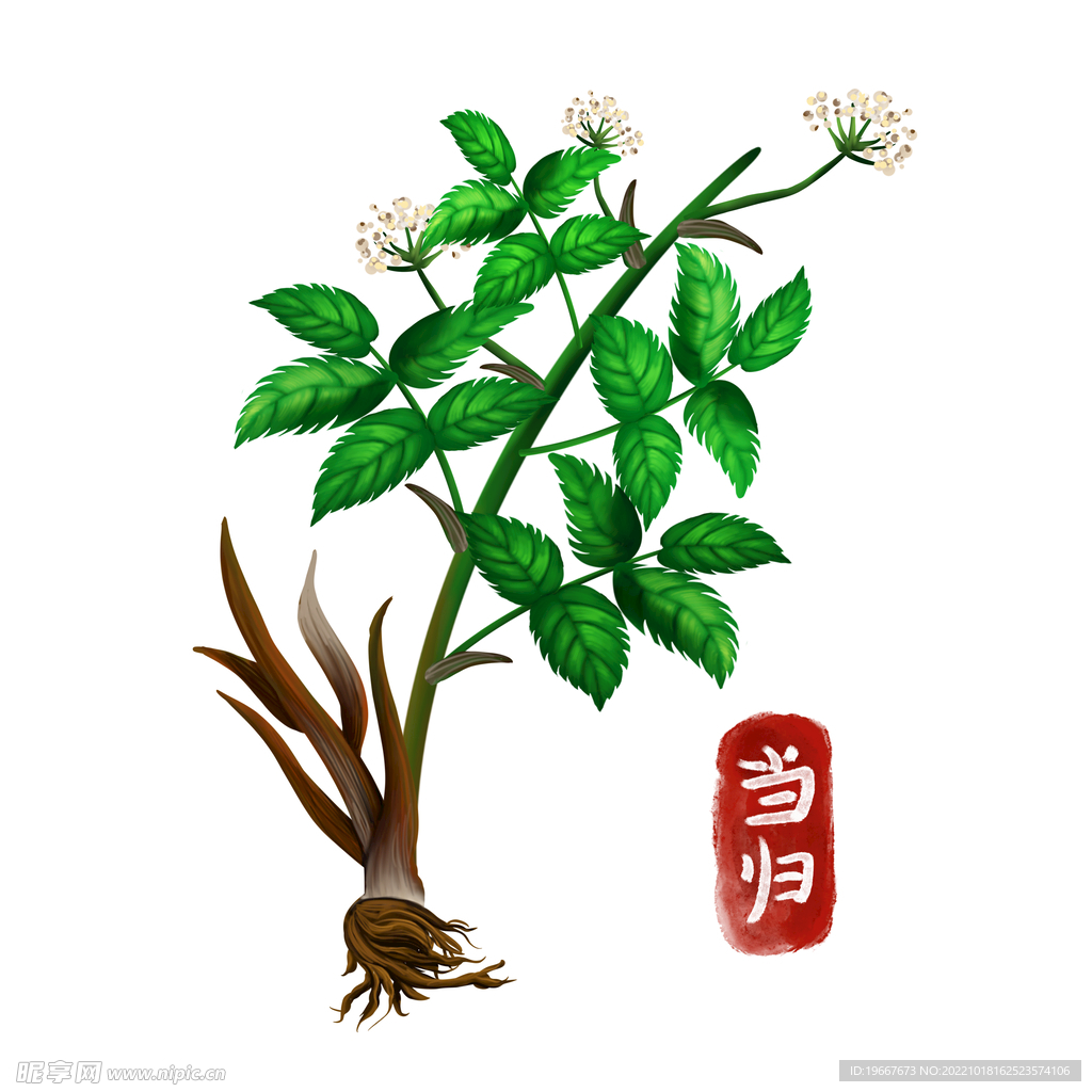 中药