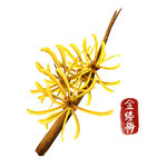 中药