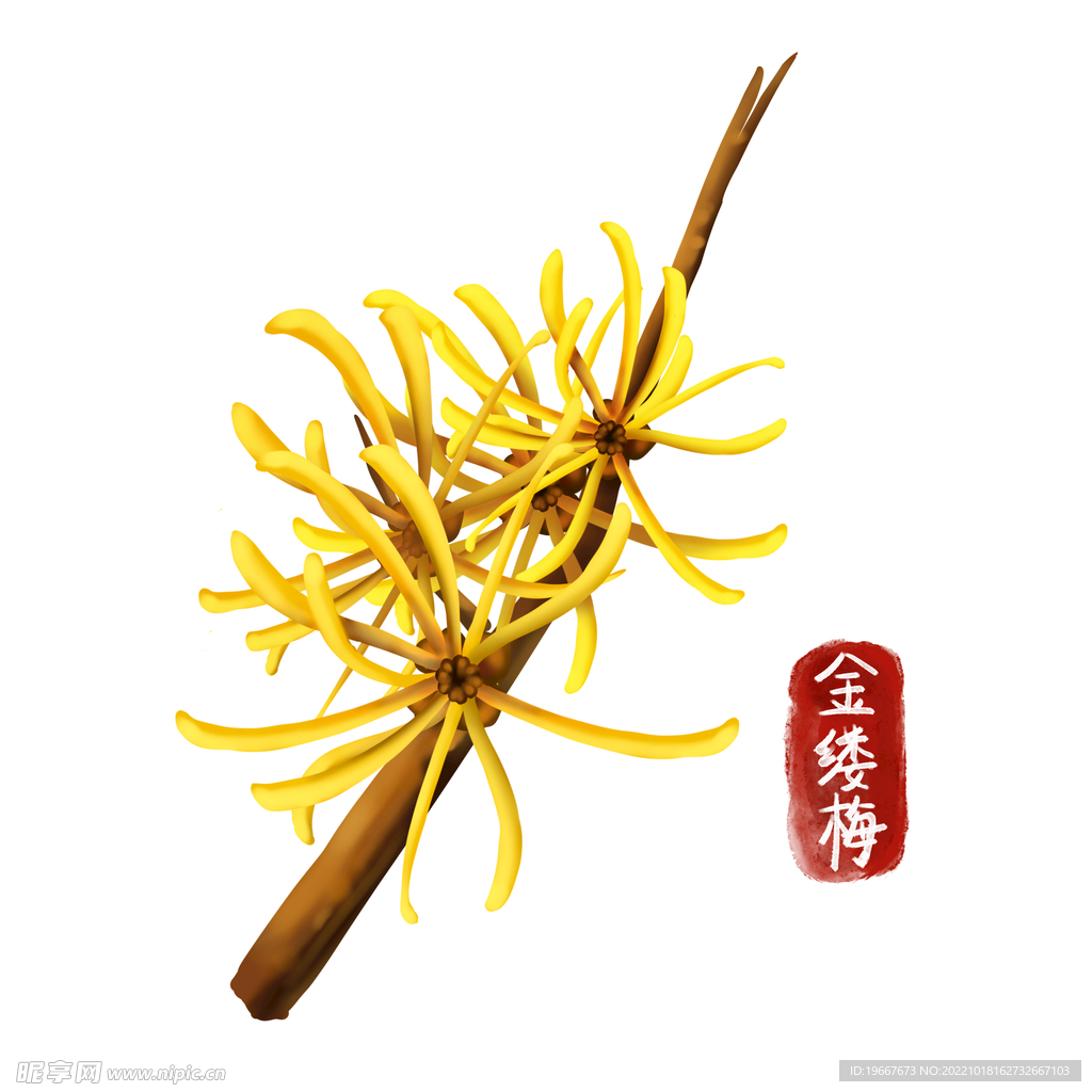 中药